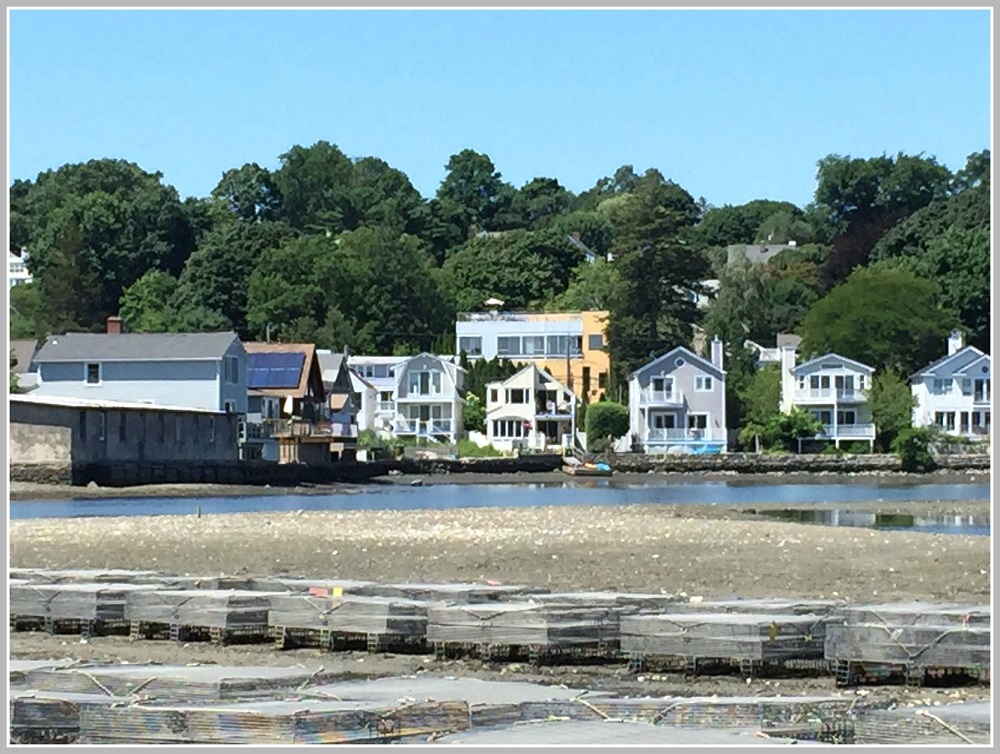 Oysters R In Westport’s Season 06880